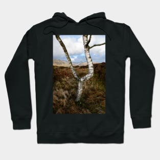 Silver on the Fell Hoodie